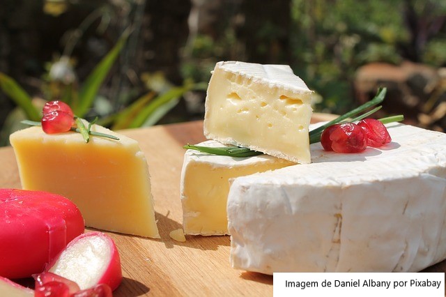 Queijo mais caro do mundo é feito com leite de burra e pode custar até R$ 10 mil