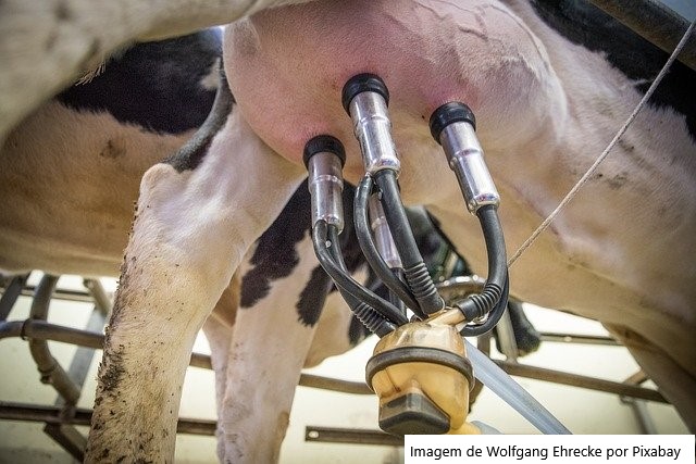 Senar Goiás leva soluções para produtores na Agrotecnoleite 2026