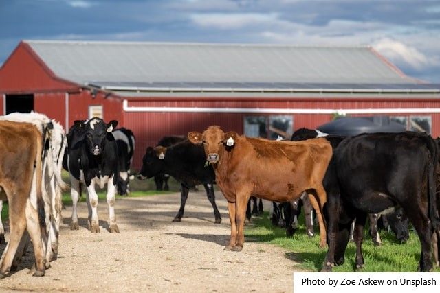 Minas inicia a etapa mais importante do ano para o produtor rural