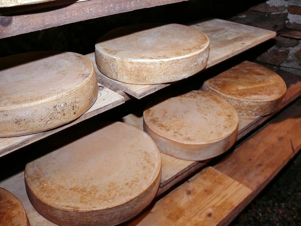 Caverna subterrânea e fungos naturais ajudam produtor a criar queijos premiados em Goiás