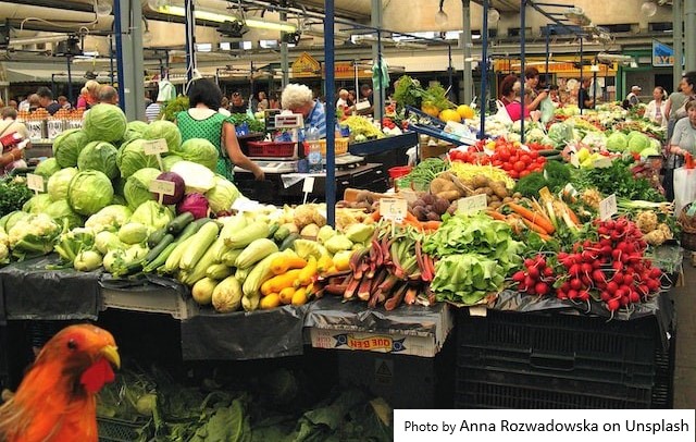 Embrapa promove debate sobre produção e comércio global de alimentos orgânico