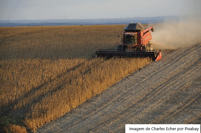 SLC Agrícola Projeta Corte de Custos para Enfrentar El Niño e Fertilizantes Caros