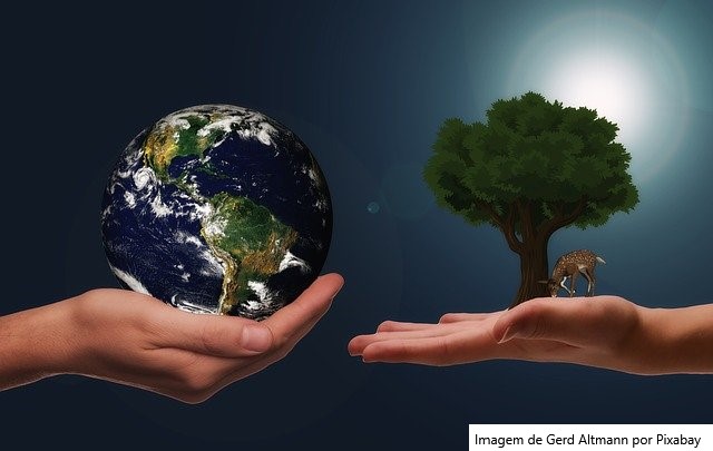 Pecuária de leite em Minas Gerais reduz emissão de carbono e ganha eficiência produtiva, aponta estudo do Sebrae