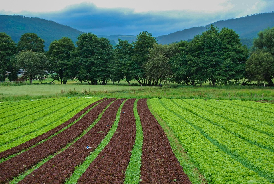 Governo de Minas já entregou 1,5 mil títulos fundiários em 50 dias do projeto Governo Presente