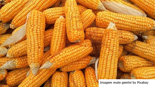 A estratégia chinesa de soberania alimentar e seus reflexos no Brasil