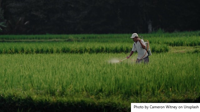 Brasil usa 147 pesticidas proibidos na União Europeia, e governo vê risco a exportações