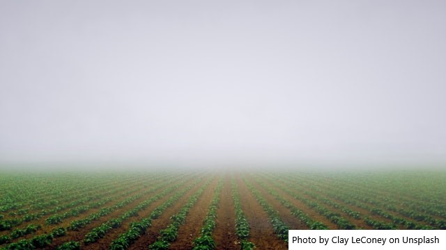 Bruxelas autoriza pagamento de até € 55/ha para compensar o maior custo dos fertilizantes