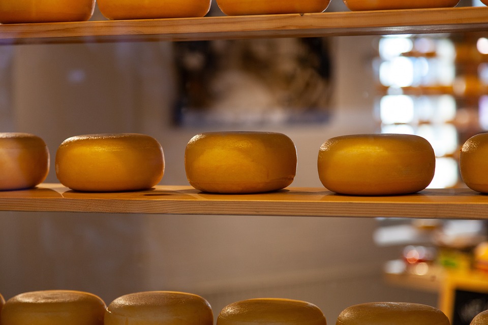 Festa do Queijo reúne agroindústrias e valoriza a produção rural de Valença (RJ)