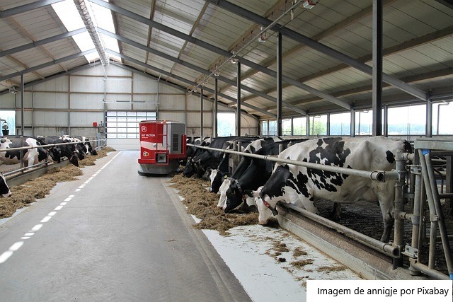 Fazenda no Nordeste desafia seca e investe pesado em tecnologia
