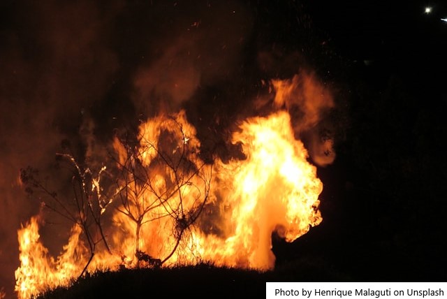 Brasileiras desenvolvem produto para conter incêndios florestais