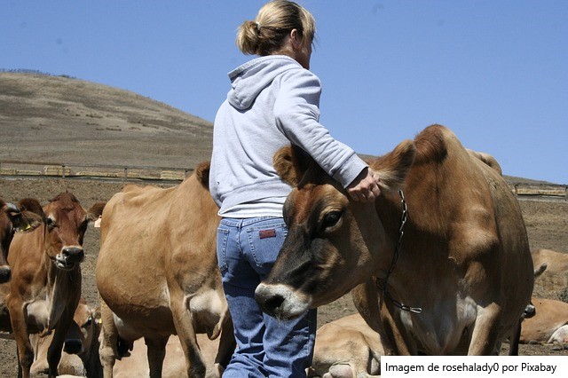 Governo do Estado fortalece produção de leite e transforma a vida de famílias agricultoras no Oeste da Bahia
