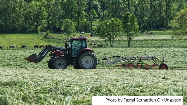 Exportações do agronegócio gaúcho em junho crescem em valor, apesar de queda no volume