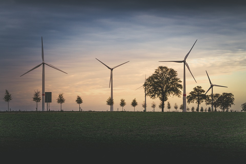 Para CNA, transição energética mundial não será feita sem o agro brasileiro