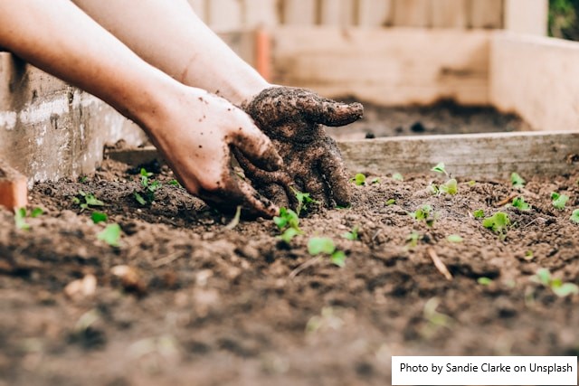 Relatório de sustentabilidade fortalece transparência e competitividade do agro mineiro