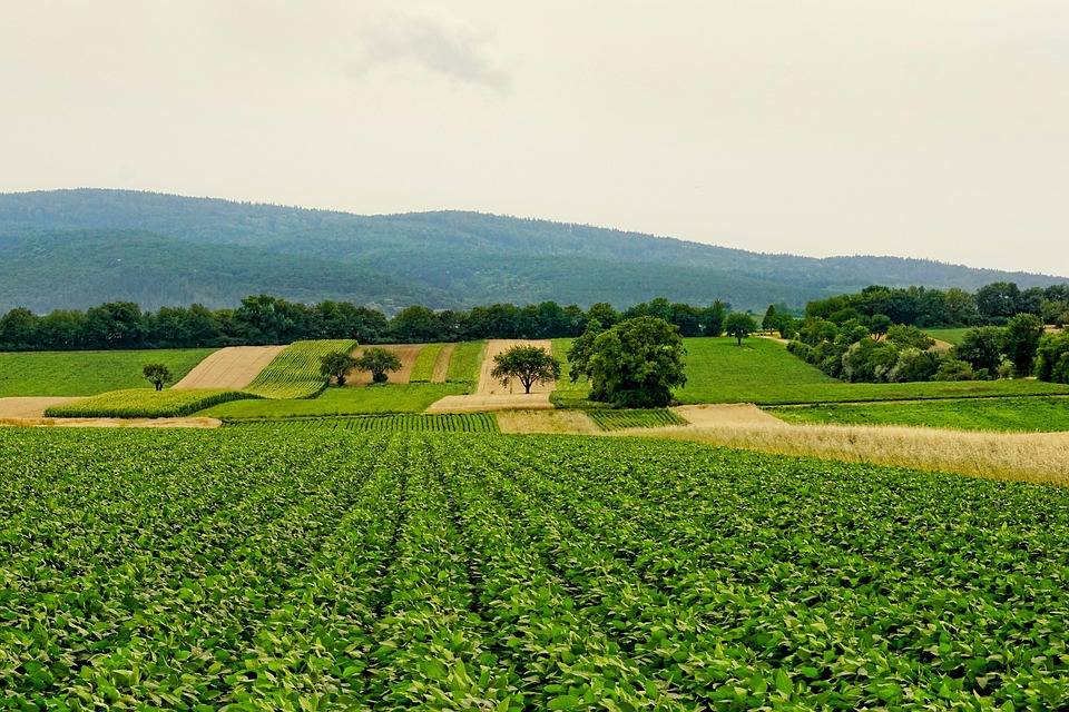 Agricultura de precisão pode somar R$ 11 bilhões ao PIB do agronegócio, diz presidente da Embrapa
