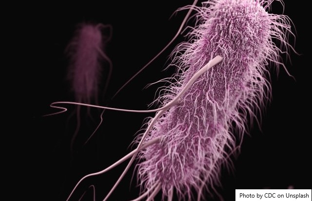 Aumento dos níveis de resistência a antibióticos é ameaça à saúde global, diz OMS