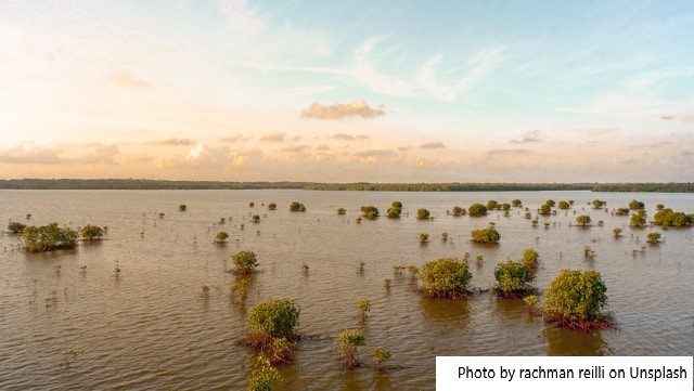 Chuvas ameaçam safras do sul do Brasil, enquanto Argentina registra clima ameno