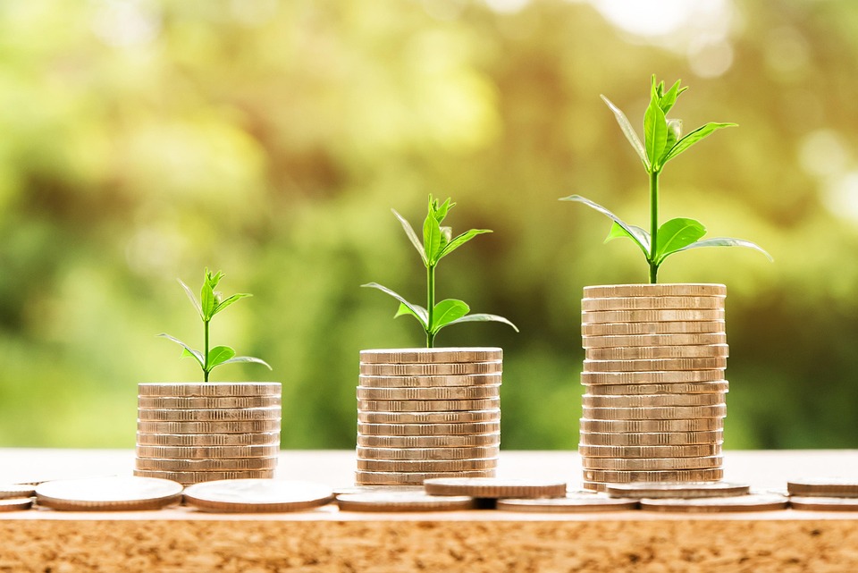 Economia cresce em ritmo moderado e agropecuária reforça sua resiliência