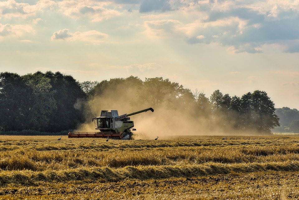 Desembolso do crédito rural despenca no primeiro mês da safra