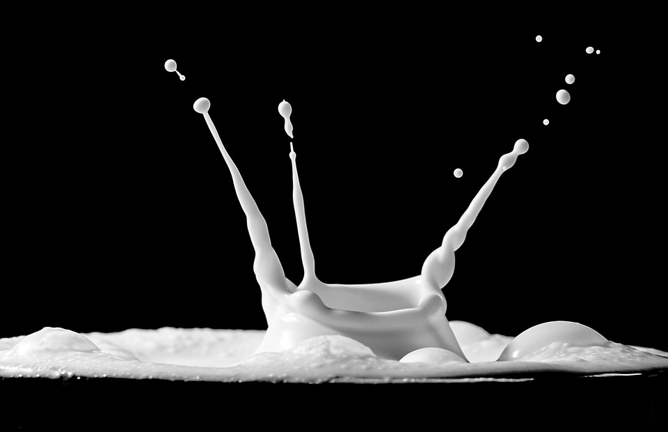 Menos vacas, mais leite: como genética e bem-estar mais que dobraram a produção em 24 anos