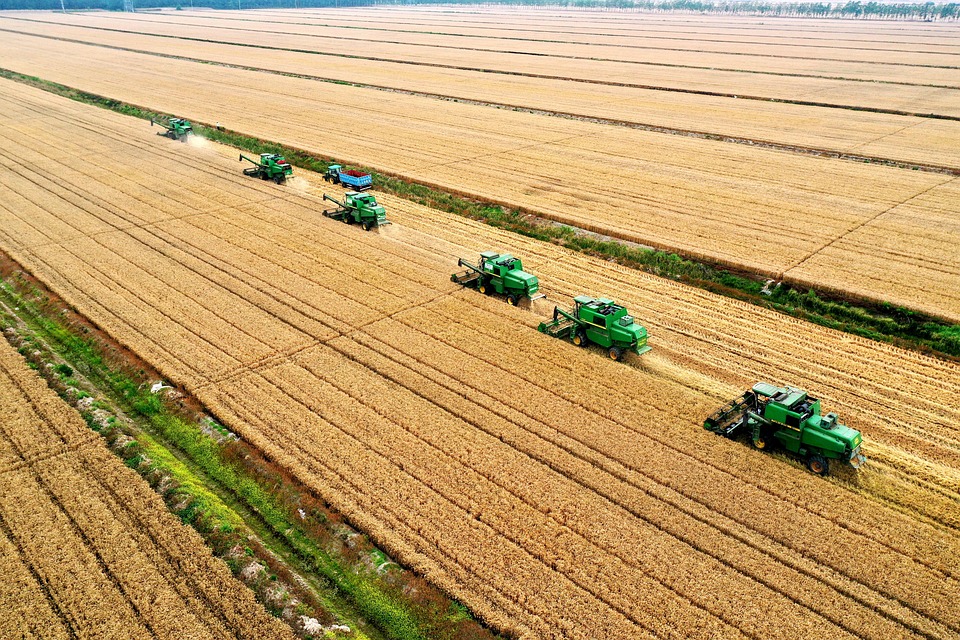 Décadas de ganhos na produção agrícola e estoques fortalecem sistema alimentar diante do "super" El Niño