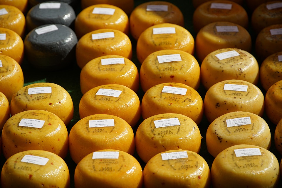 Queijo de 1,5 tonelada vira atração e é distribuído de graça em Muniz Freire