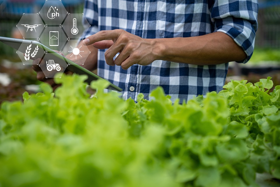 Inteligência artificial exige mudança radical e revisão das estratégias no agro