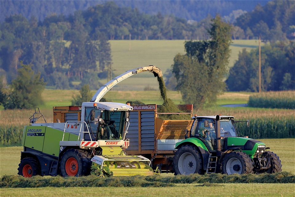 Agro impulsiona interior e faz produtividade do Brasil mudar de endereço