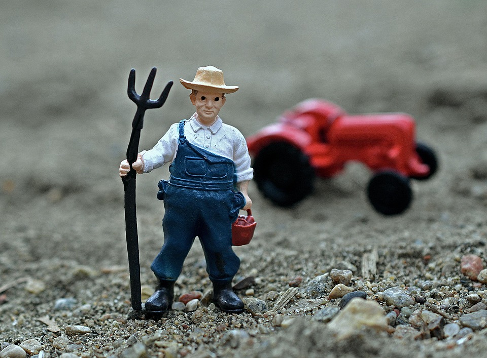 Inadimplência do crédito rural bate recorde e chega a 8,8% em julho