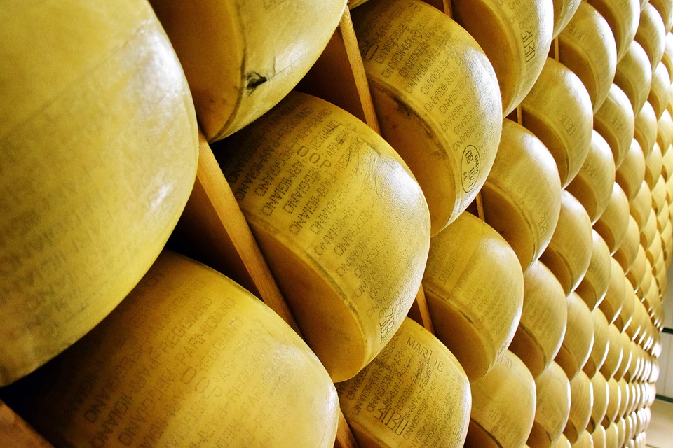 Queijo produzido em Luz conquista 1º lugar em concurso regional, em Formiga