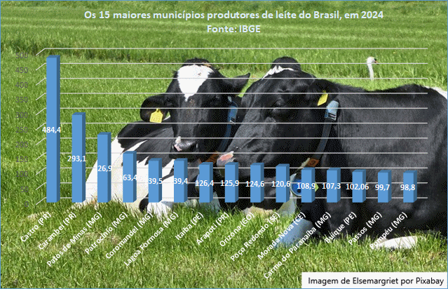 Qual cidade produz mais leite no Brasil? A campeã fica no Paraná
