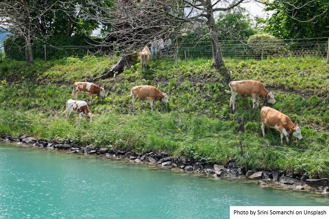 Dias de Campo reúnem mais de 200 produtores na Bahia