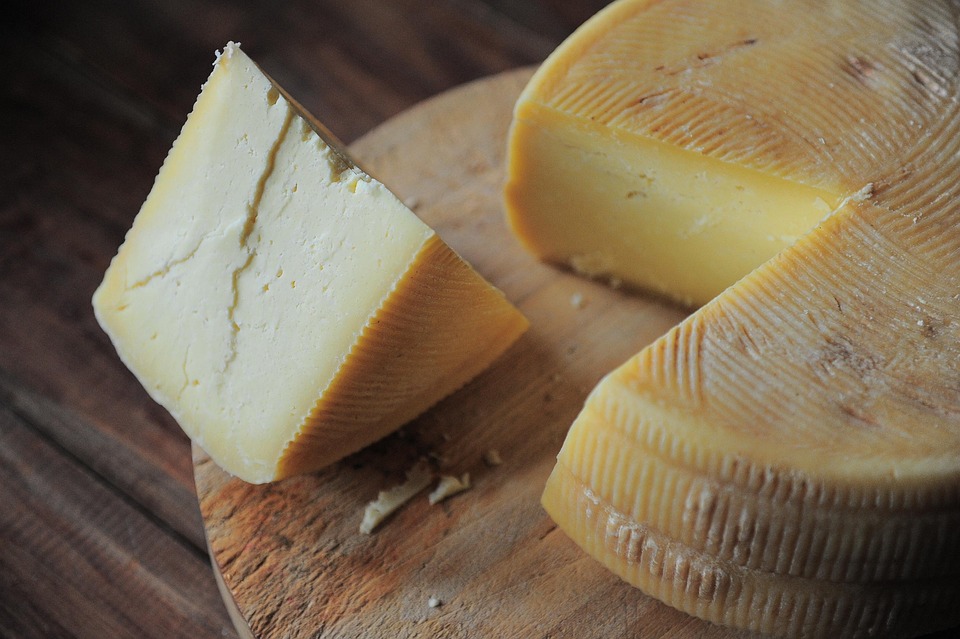 Comitiva da ExpoQueijo Brasil visita fazenda produtora do queijo campeão Super Ouro na Serra da Mantiqueira