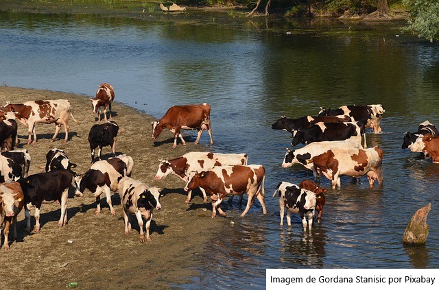 Fundesa-RS começa a cobrar R$ 1,33 por animal de produtores em setembro