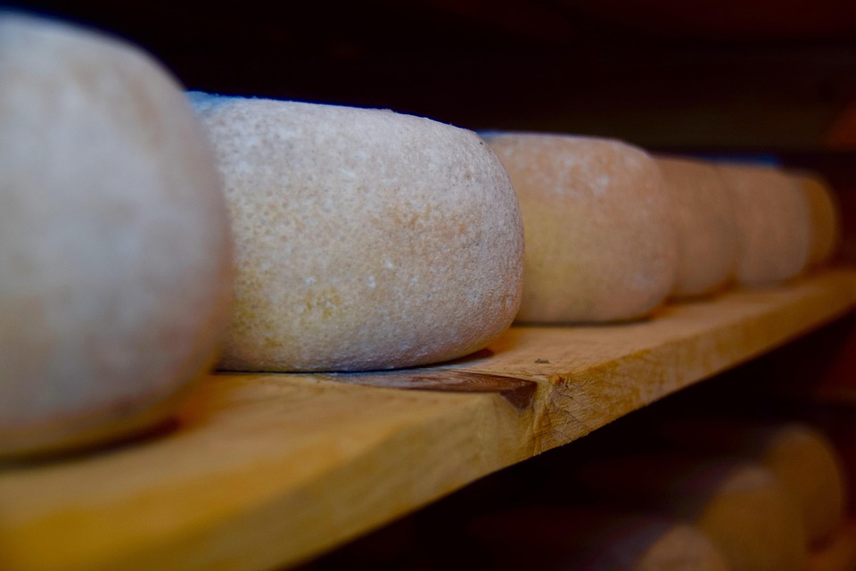 Da produção caseira à feira na França; casal cria marca de queijos premiados