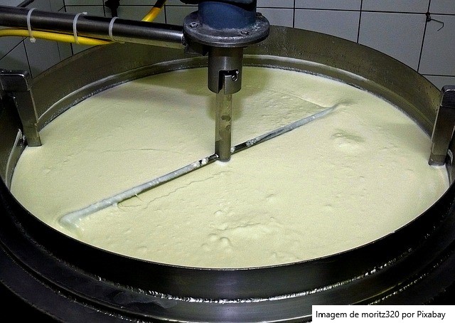 A transição da produção artesanal para uma agroindústria estruturada fortalece o campo