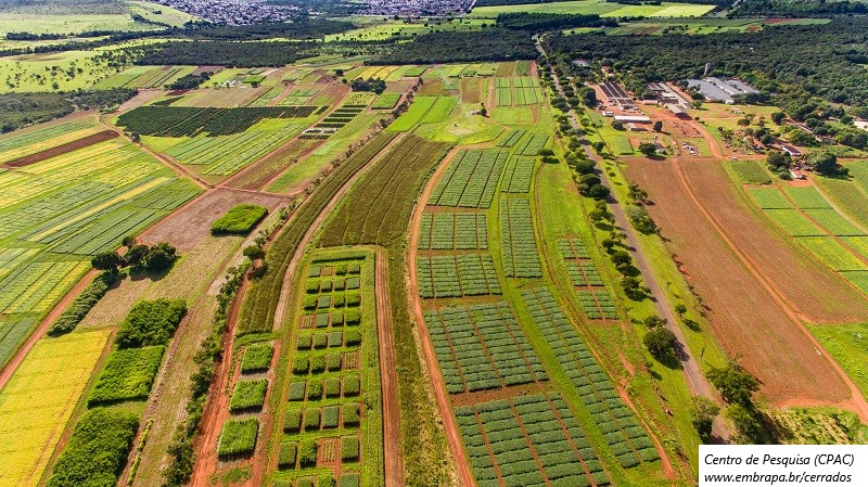 Valor de produção agrícola atinge recorde de R$ 927,2 bilhões