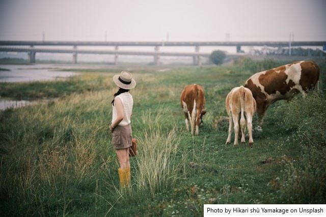 Estudo destaca protagonismo e desafios das mulheres na transformação digital da agricultura