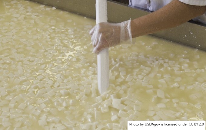 Soro do leite ganha valor com nova demanda por proteína