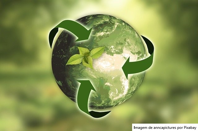 Bioeconomia como motor de transformação nos territórios