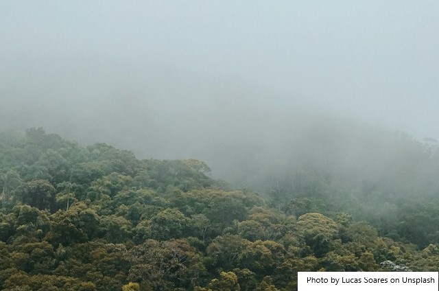 Extremos climáticos sobem em ritmo acelerado